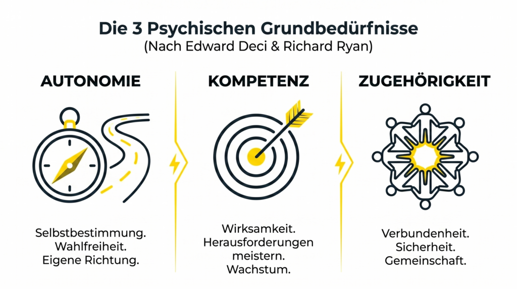 Edward Deci und Richard Ryan Menschen haben drei fundamentale psychische Grundbedürfnisse. Autonomie. Kompetenz. Zugehörigkeit